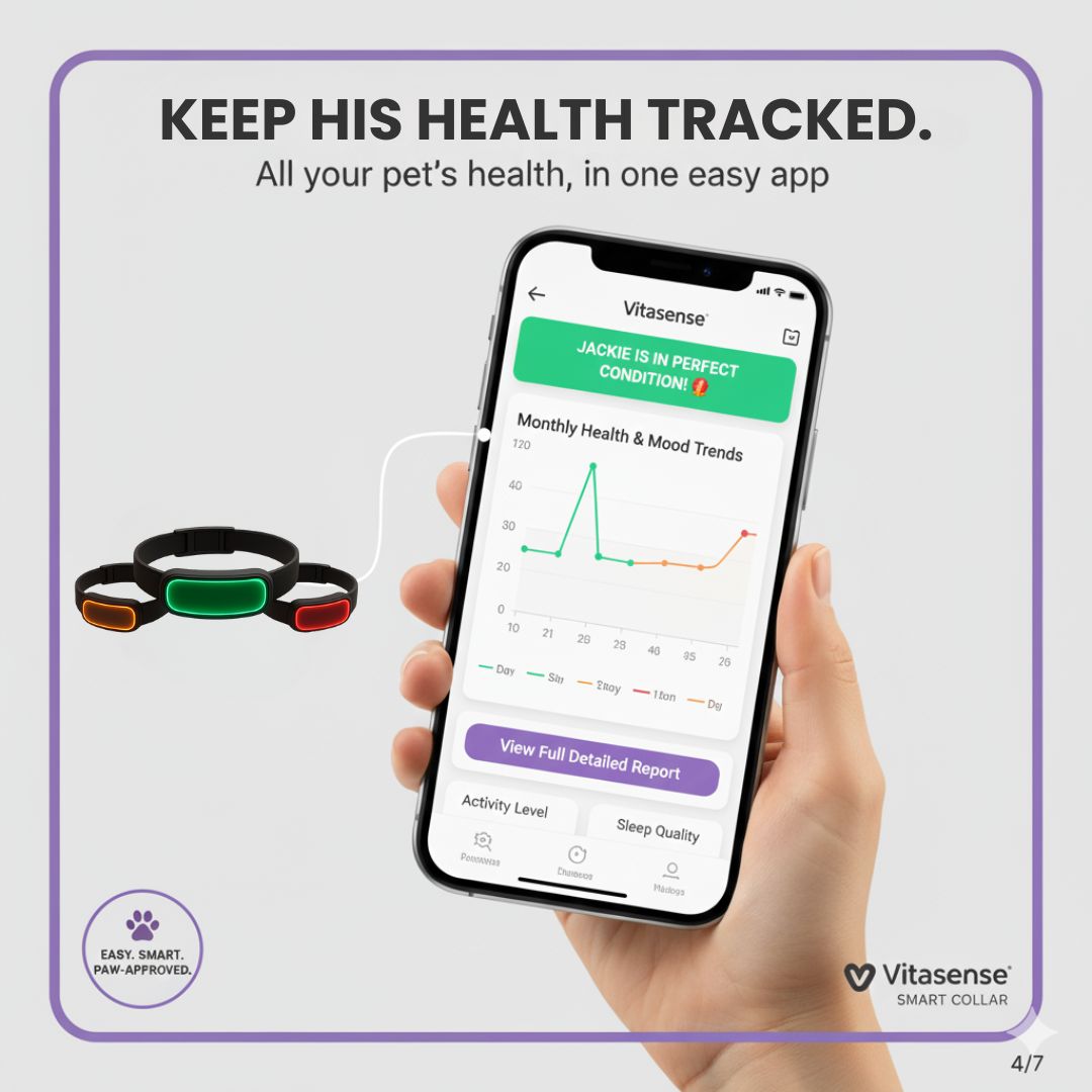 VitaSense™ – Feel Your Dog’s Emotions in Real Time