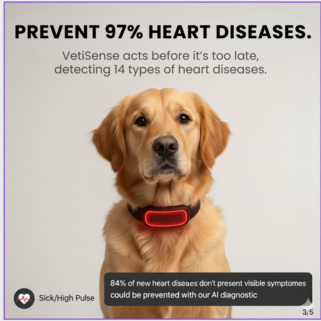 VitaSense™ – Feel Your Dog’s Emotions in Real Time