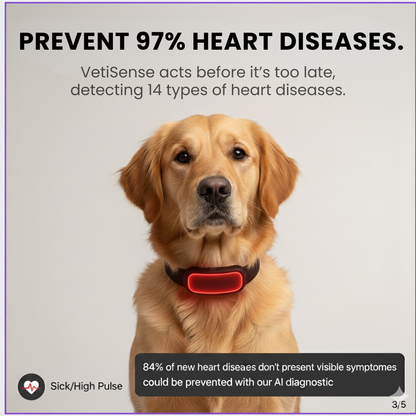 VitaSense™ – Feel Your Dog’s Emotions in Real Time